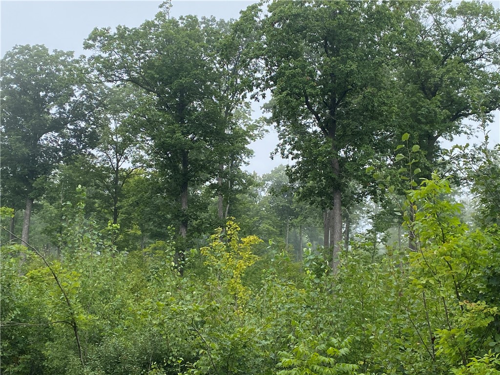 ON W County Road C Exeland WI 54835 1594776 image8