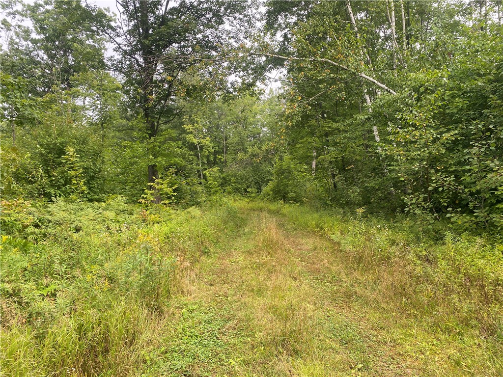 ON W Zettel Road Exeland WI 54835 1594782 image3