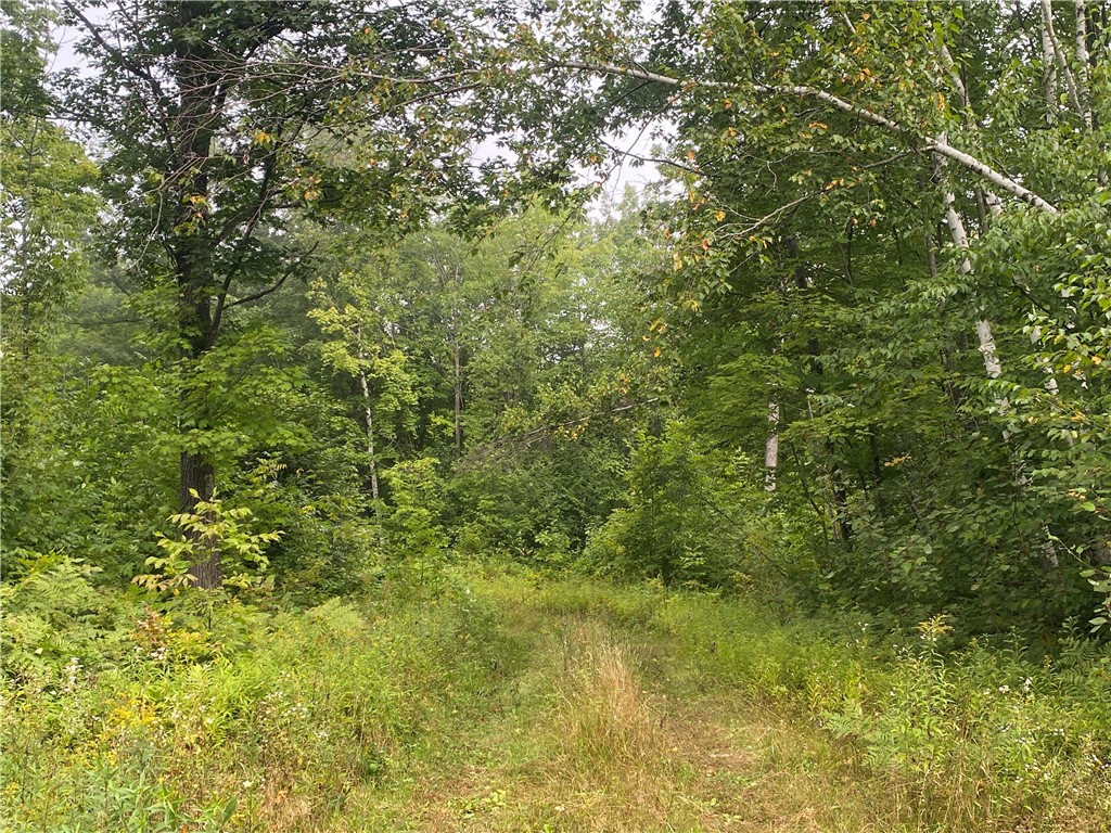 ON W Zettel Road Exeland WI 54835 1594782 image4