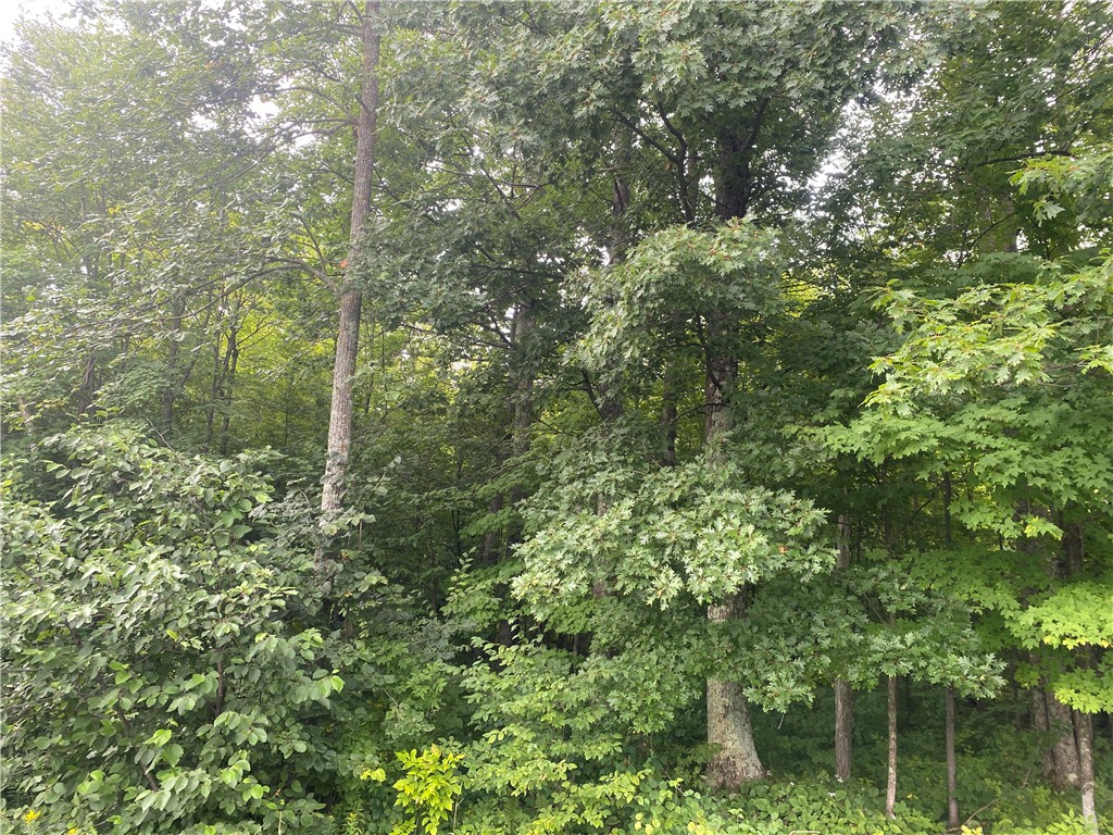 ON Wi-48 Exeland WI 54835 1594777 image2