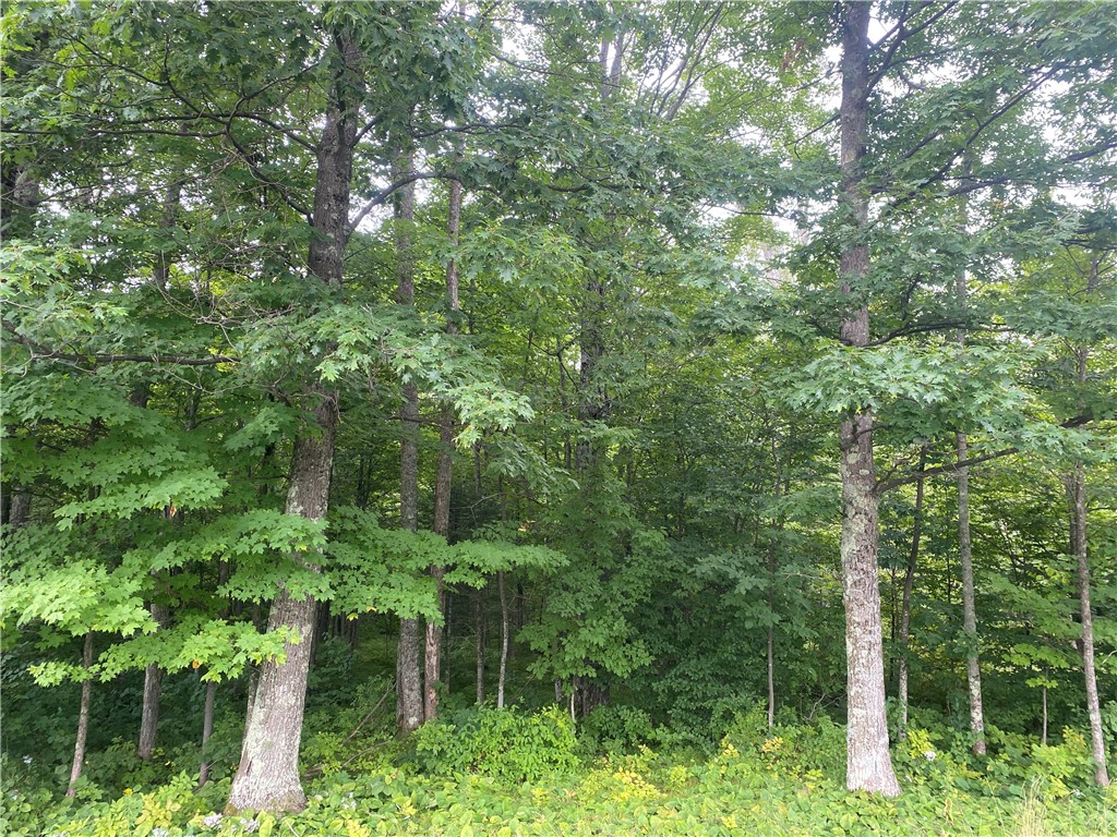 ON Wi-48 Exeland WI 54835 1594777 image3