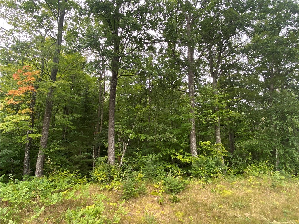 ON Wi-48 Exeland WI 54835 1594778 image4