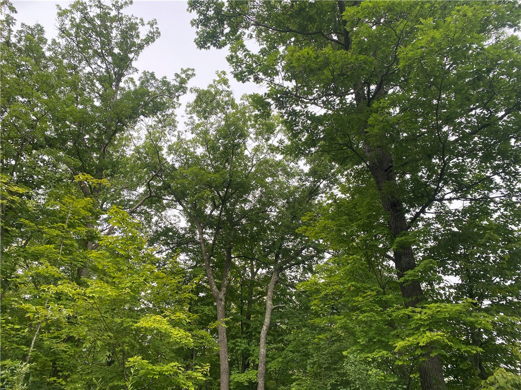 ON Wi-48 Exeland WI 54835 1594778 image6