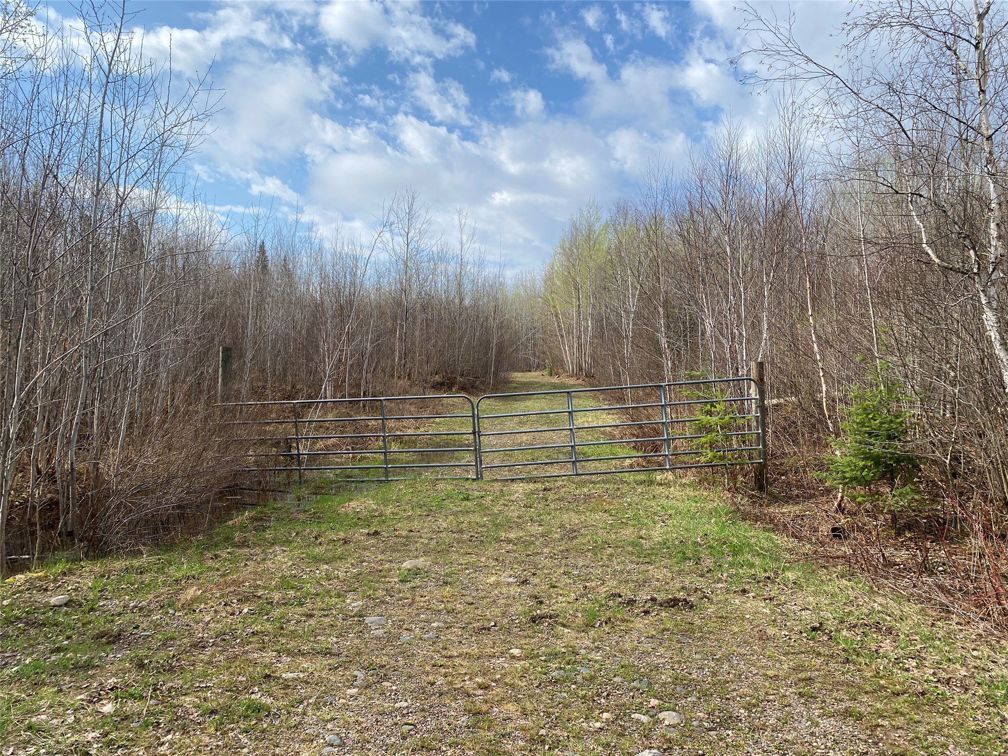 ON Wilson Lake Road Phillips WI 54555 1599325 image1