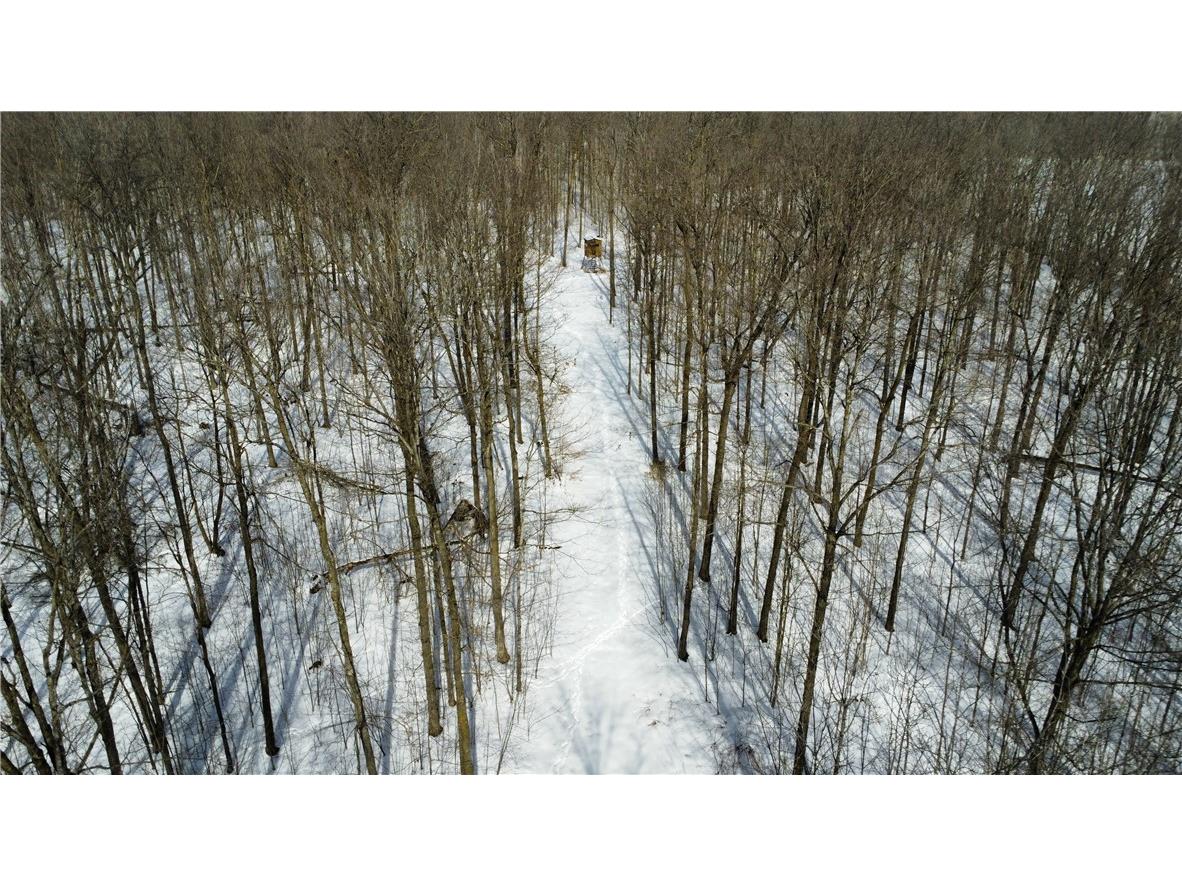 OOO County Rd. F Spencer WI 54479 1598625 image10