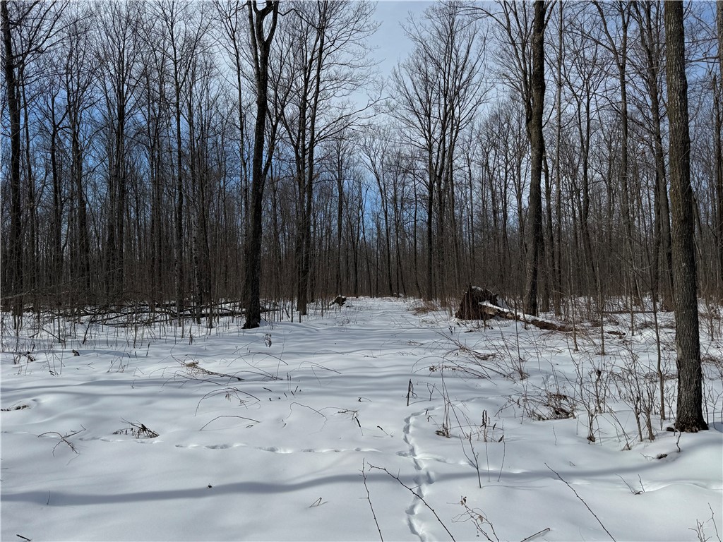 OOO County Rd. F Spencer WI 54479 1598625 image13