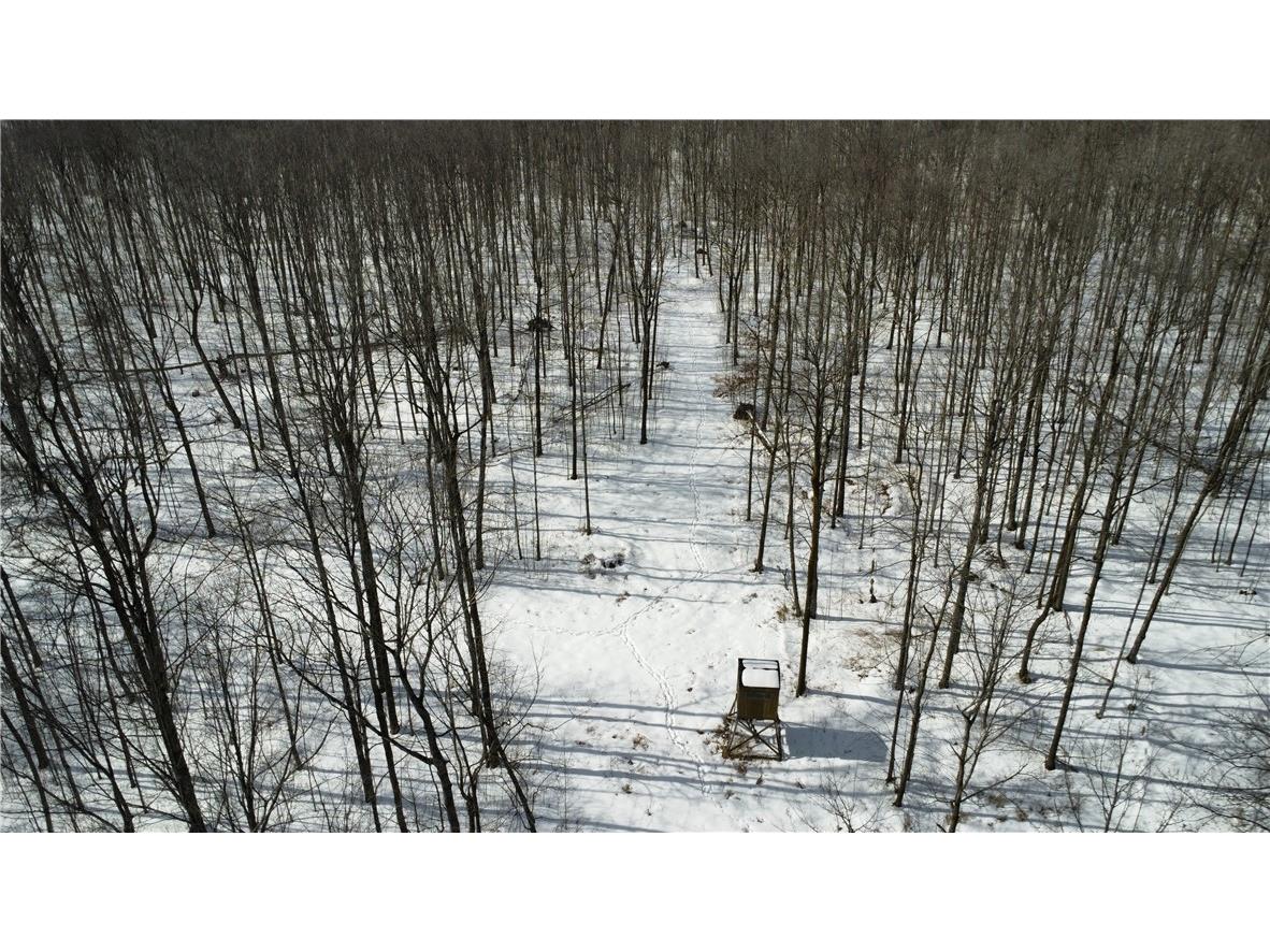 OOO County Rd. F Spencer WI 54479 1598625 image14