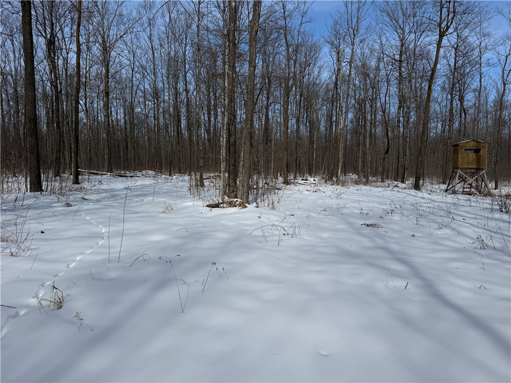 OOO County Rd. F Spencer WI 54479 1598625 image15