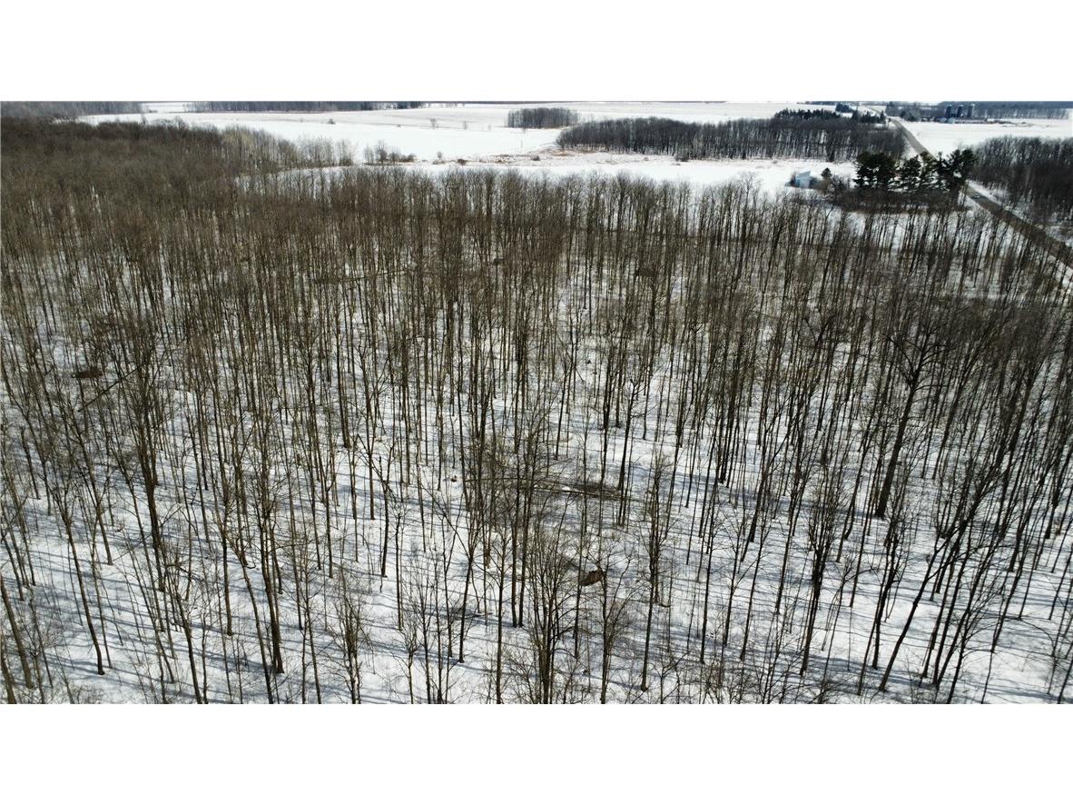 OOO County Rd. F Spencer WI 54479 1598625 image16