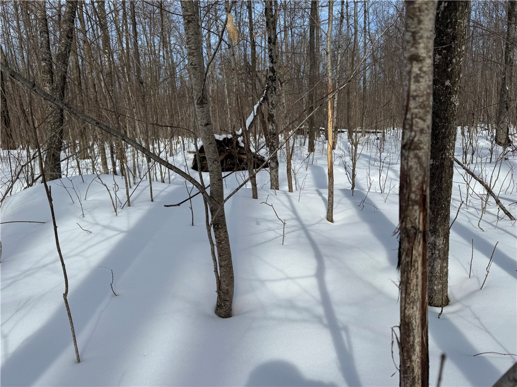 OOO County Rd. F Spencer WI 54479 1598625 image17