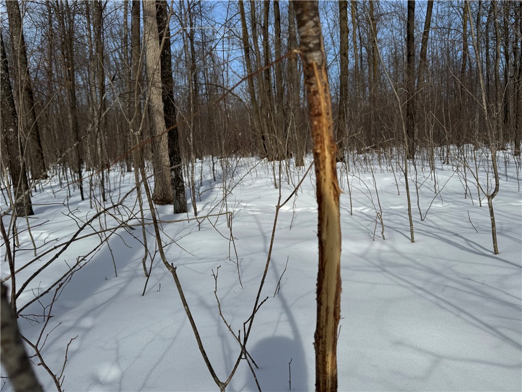 OOO County Rd. F Spencer WI 54479 1598625 image22