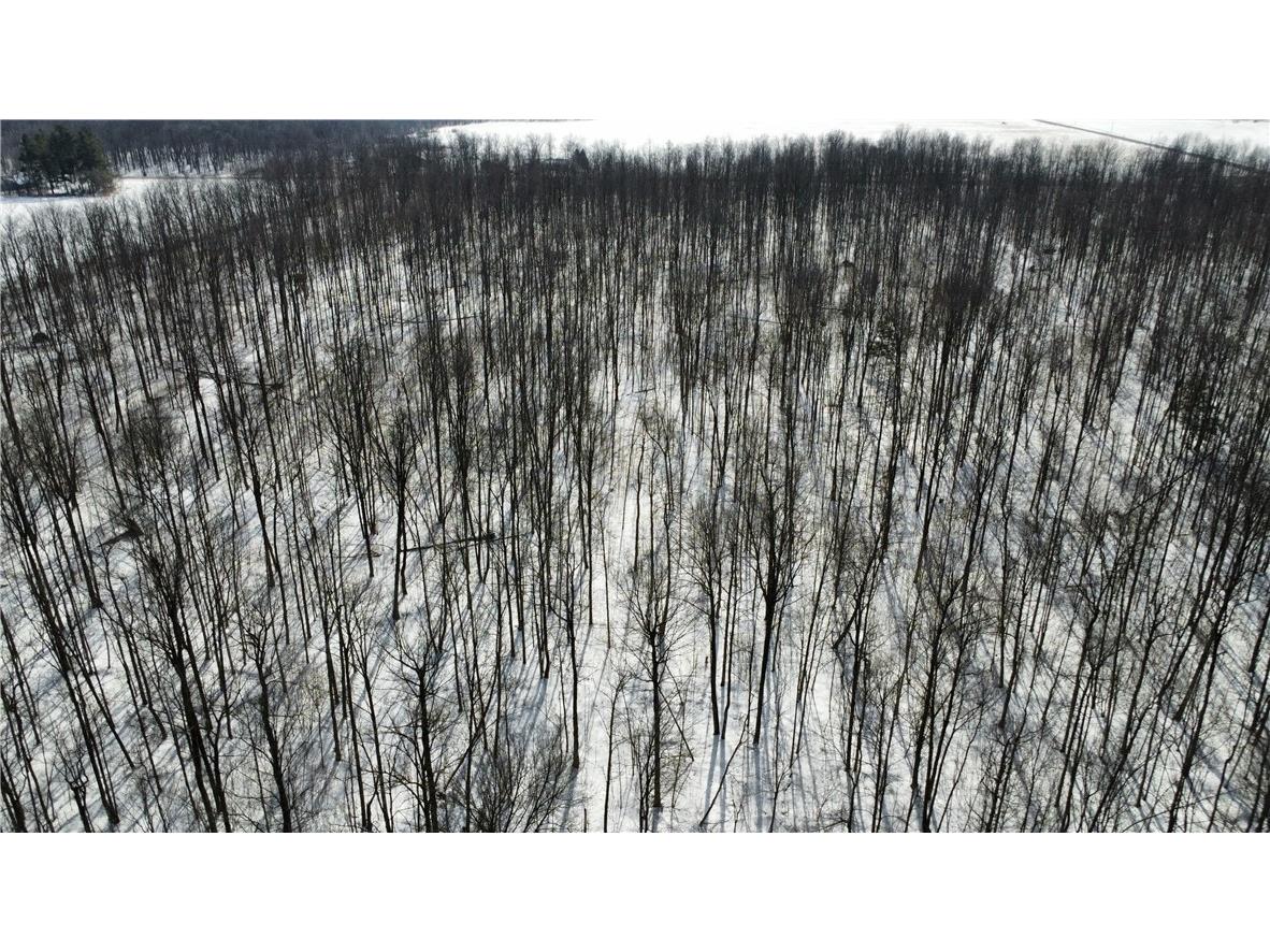 OOO County Rd. F Spencer WI 54479 1598625 image27