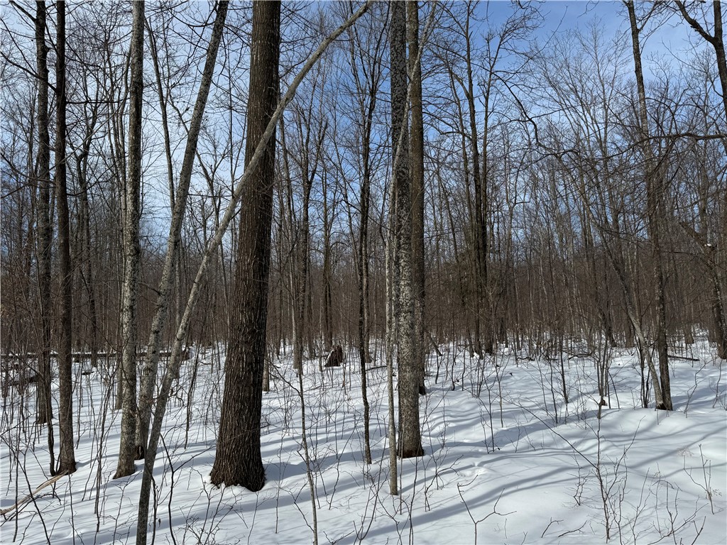 OOO County Rd. F Spencer WI 54479 1598625 image28