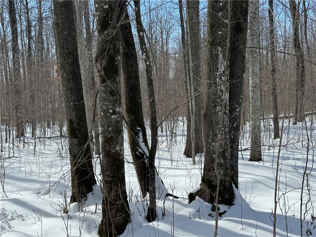 OOO County Rd. F Spencer WI 54479 1598625 image29