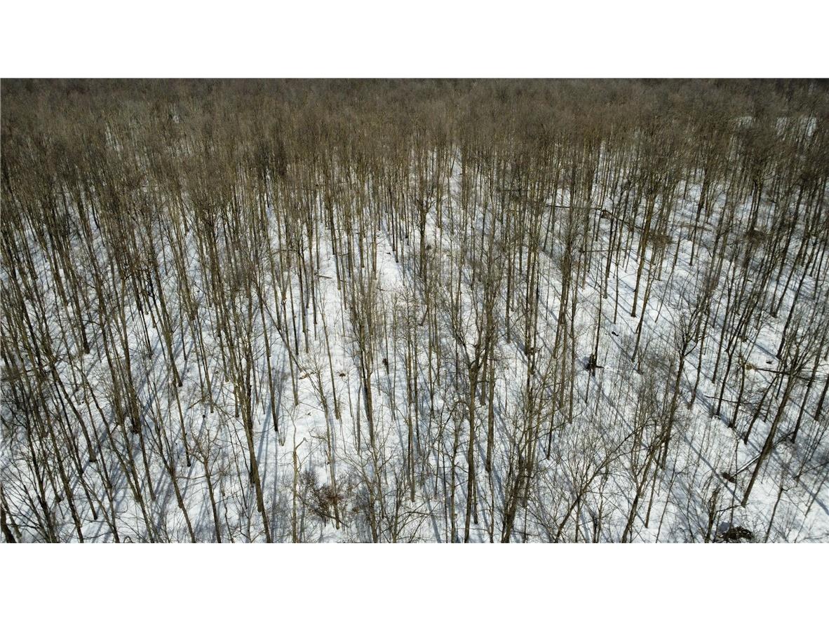 OOO County Rd. F Spencer WI 54479 1598625 image4