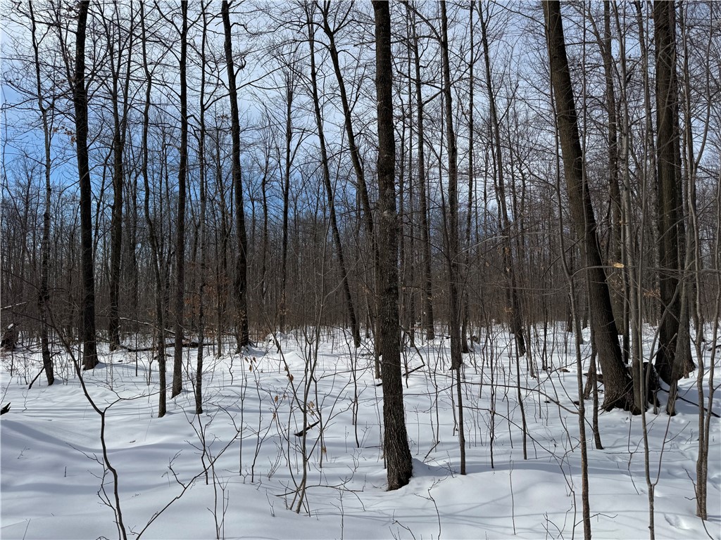 OOO County Rd. F Spencer WI 54479 1598625 image6