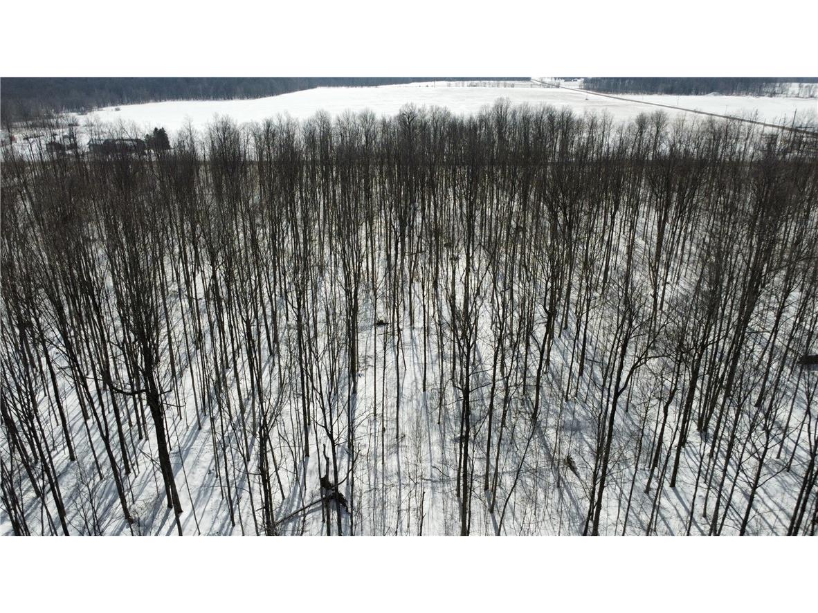 OOO County Rd. F Spencer WI 54479 1598625 image8