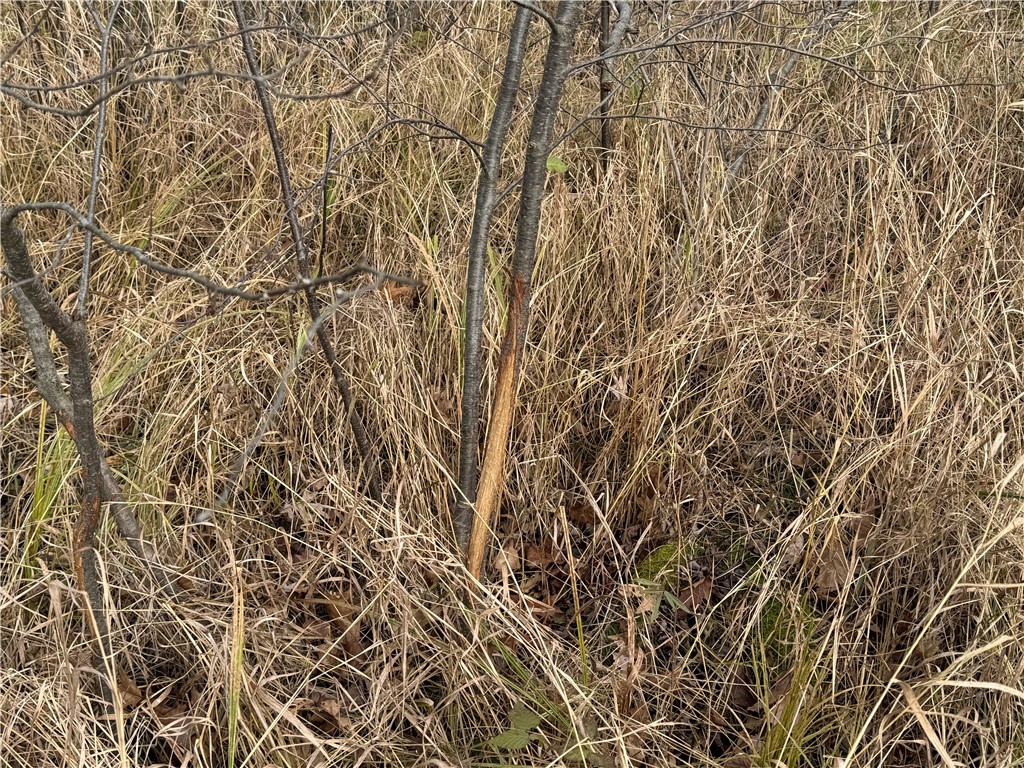 OOO County Rd. W Granton WI 54436 1596882 image11