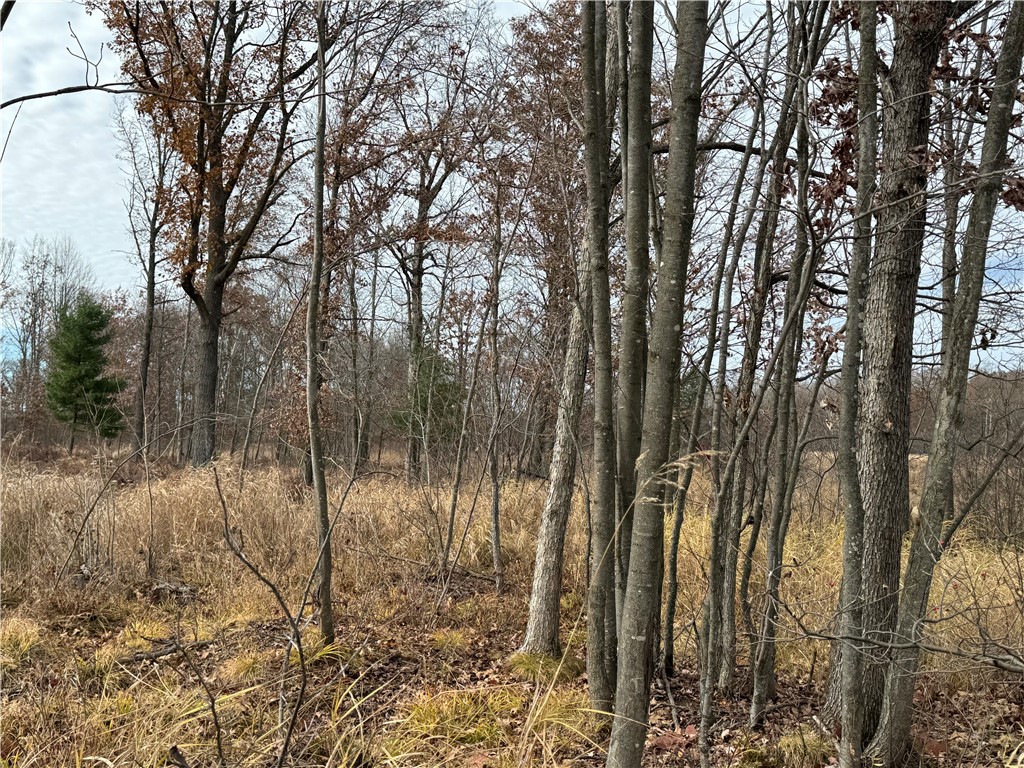 OOO County Rd. W Granton WI 54436 1596882 image12