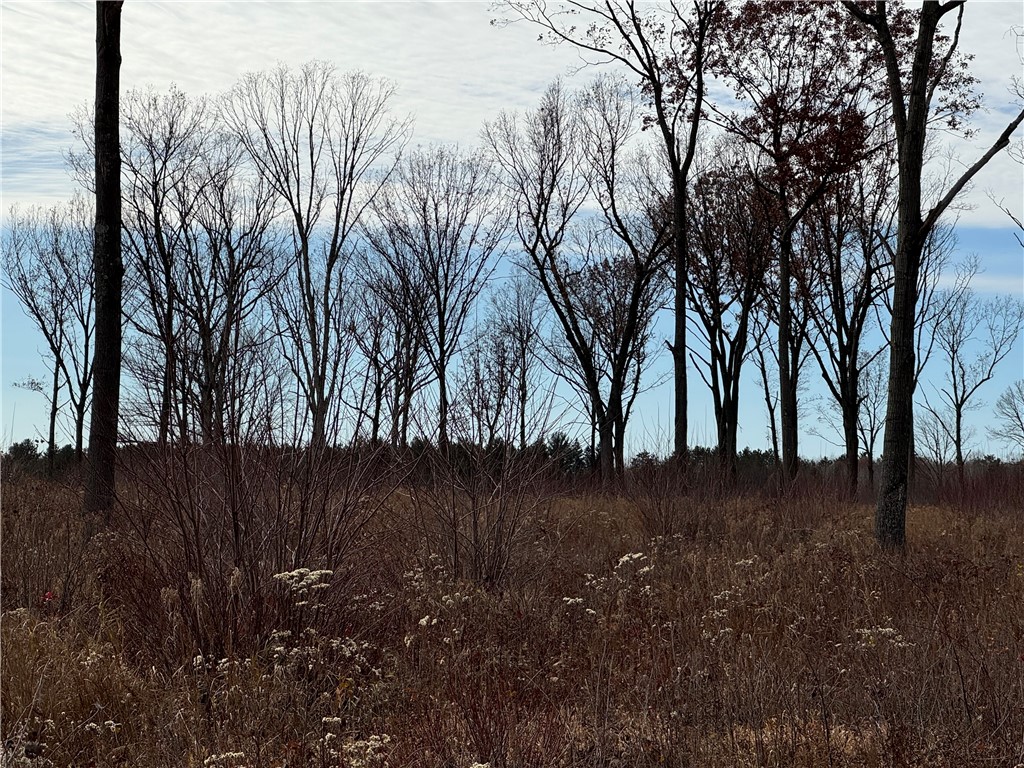 OOO County Rd. W Granton WI 54436 1596882 image13