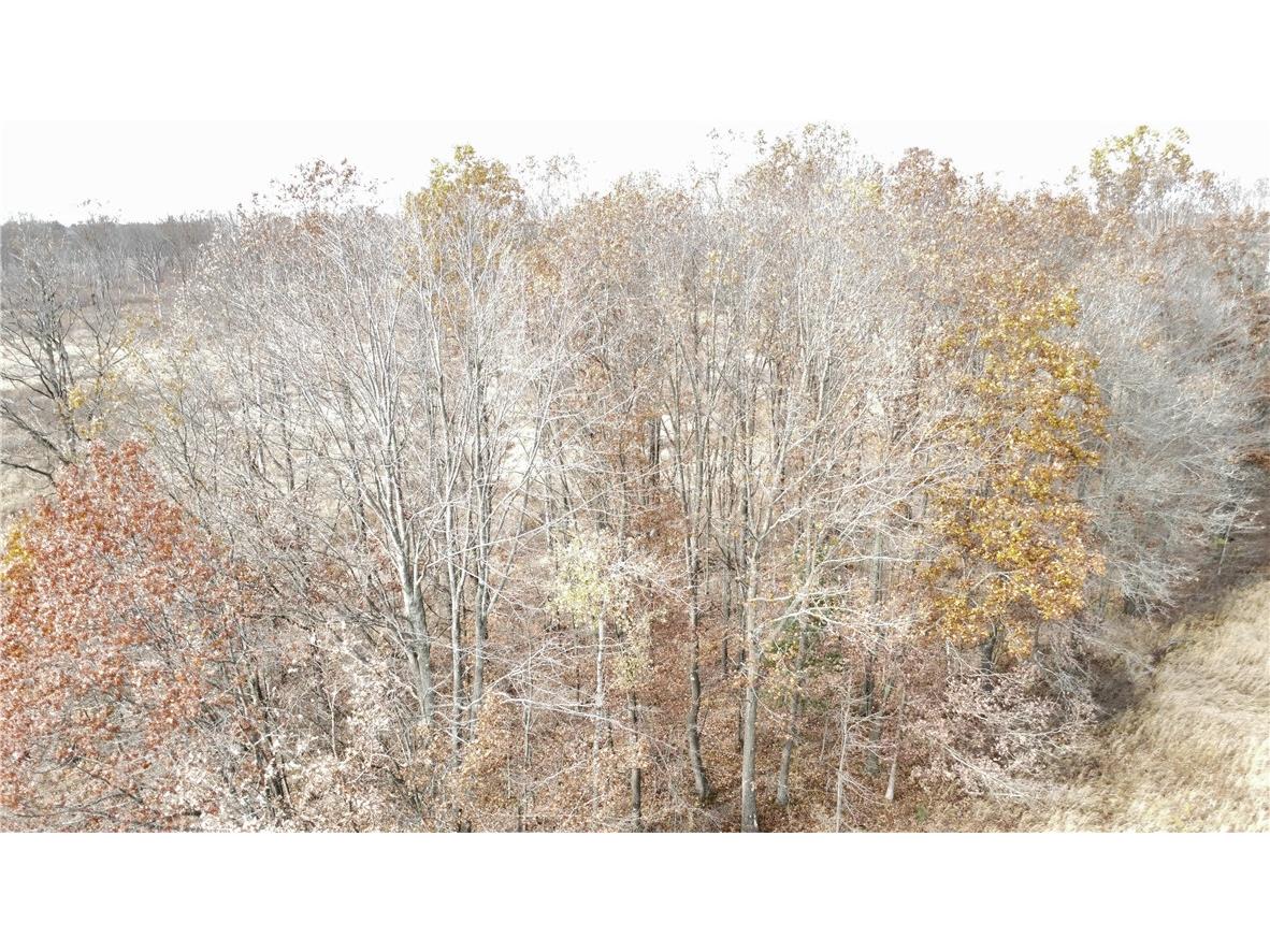 OOO County Rd. W Granton WI 54436 1596882 image14