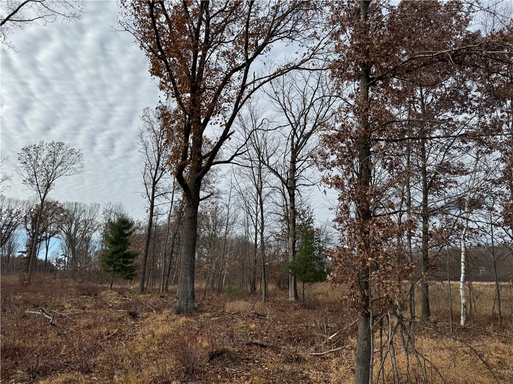 OOO County Rd. W Granton WI 54436 1596882 image15