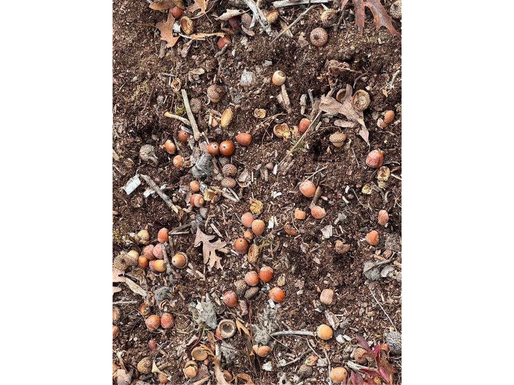 OOO County Rd. W Granton WI 54436 1596882 image16