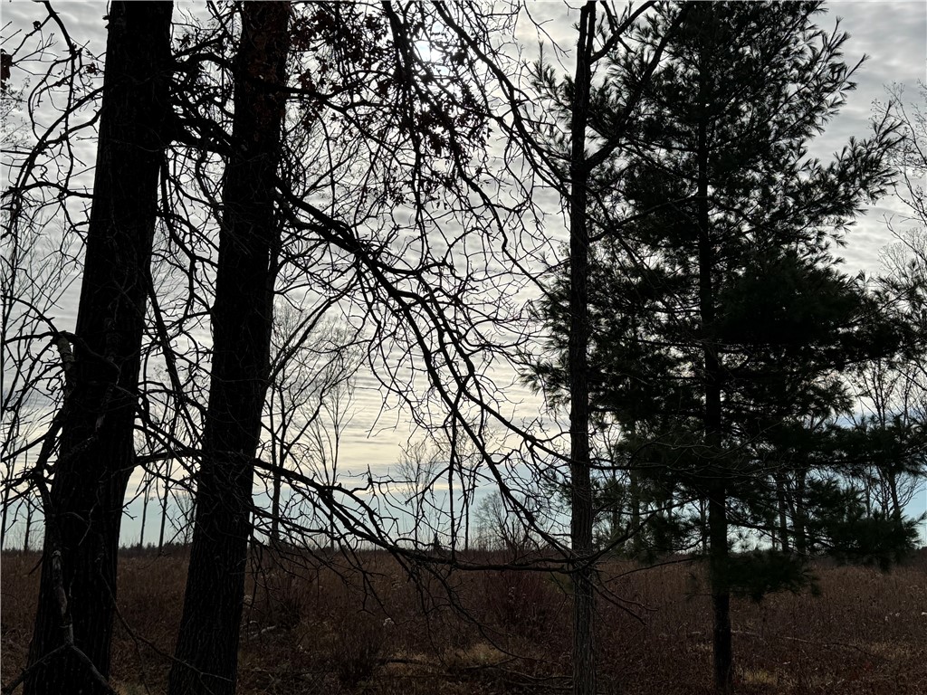 OOO County Rd. W Granton WI 54436 1596882 image19