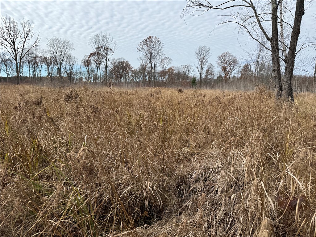 OOO County Rd. W Granton WI 54436 1596882 image2