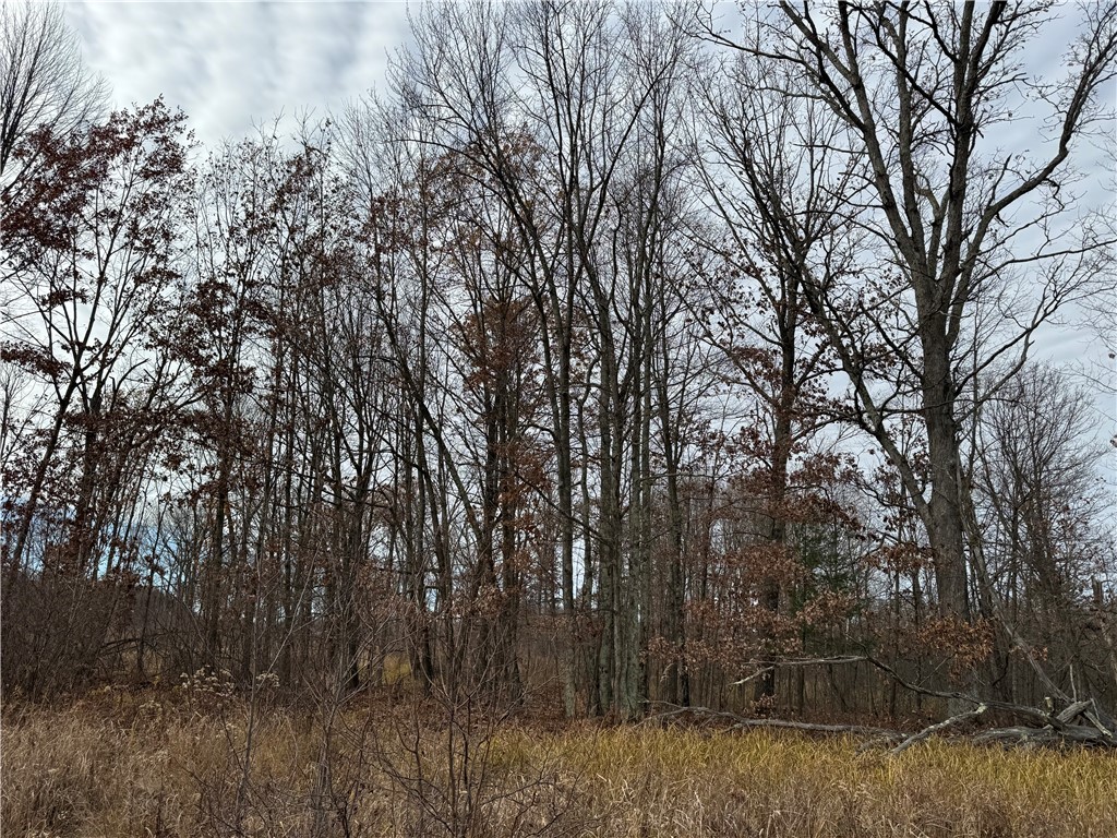 OOO County Rd. W Granton WI 54436 1596882 image20