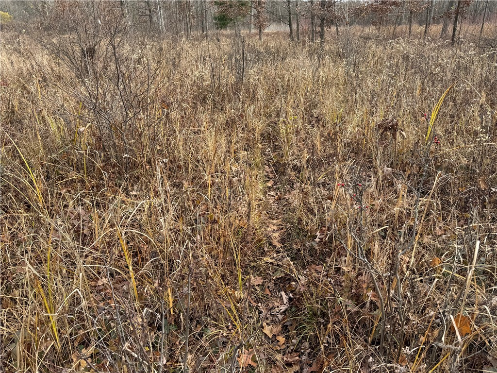 OOO County Rd. W Granton WI 54436 1596882 image21