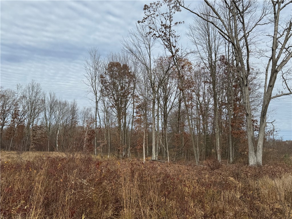 OOO County Rd. W Granton WI 54436 1596882 image25