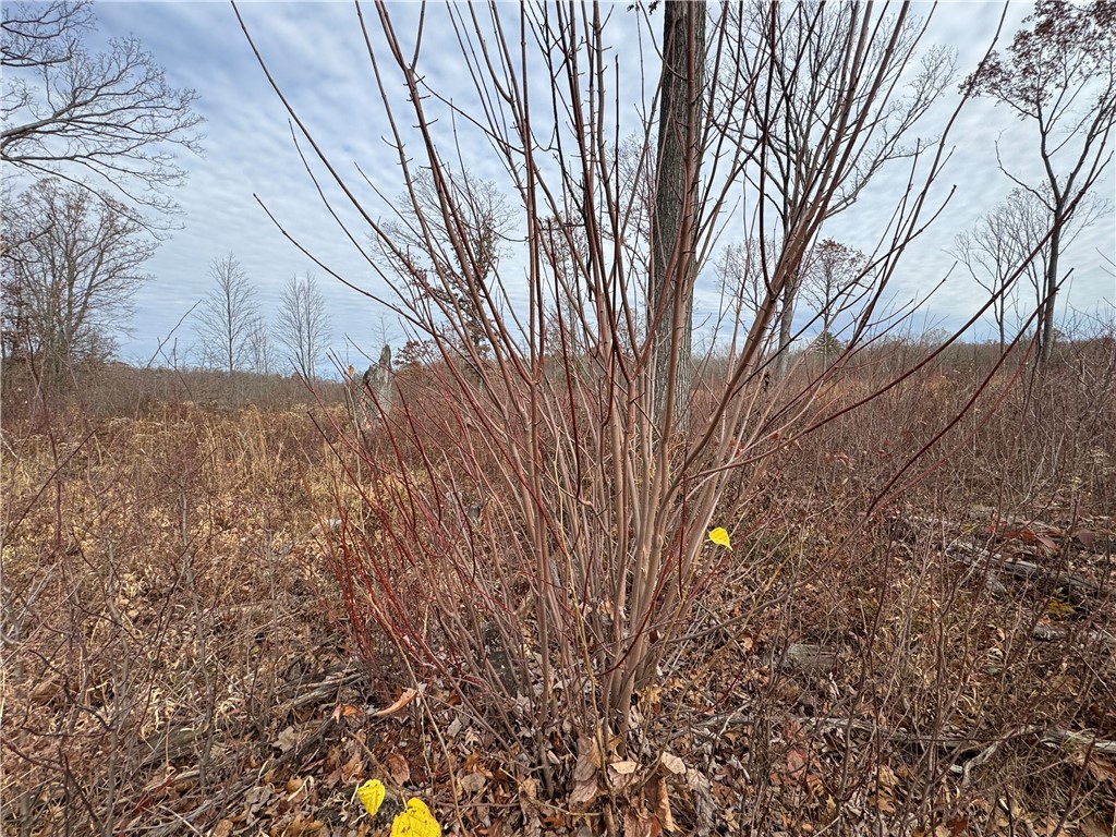 OOO County Rd. W Granton WI 54436 1596882 image26