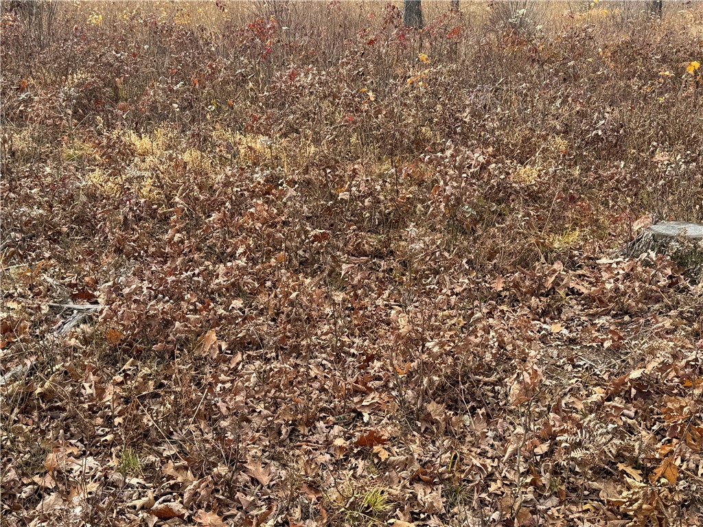 OOO County Rd. W Granton WI 54436 1596882 image27