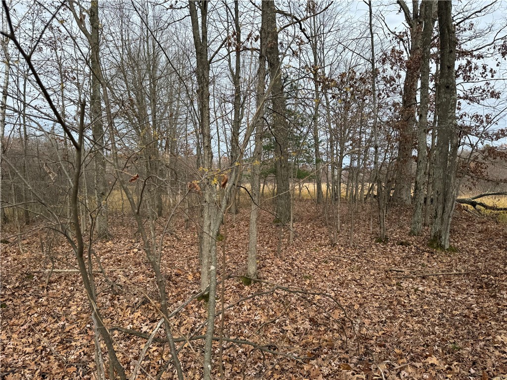 OOO County Rd. W Granton WI 54436 1596882 image28