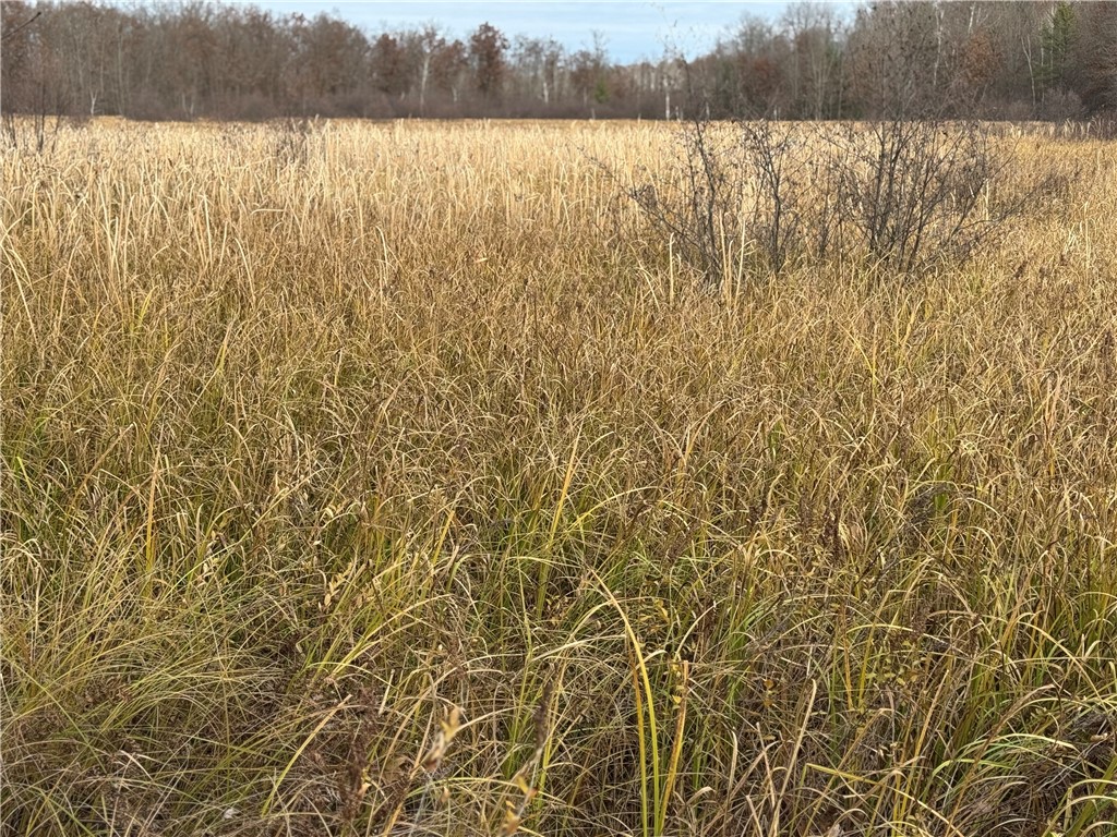 OOO County Rd. W Granton WI 54436 1596882 image29