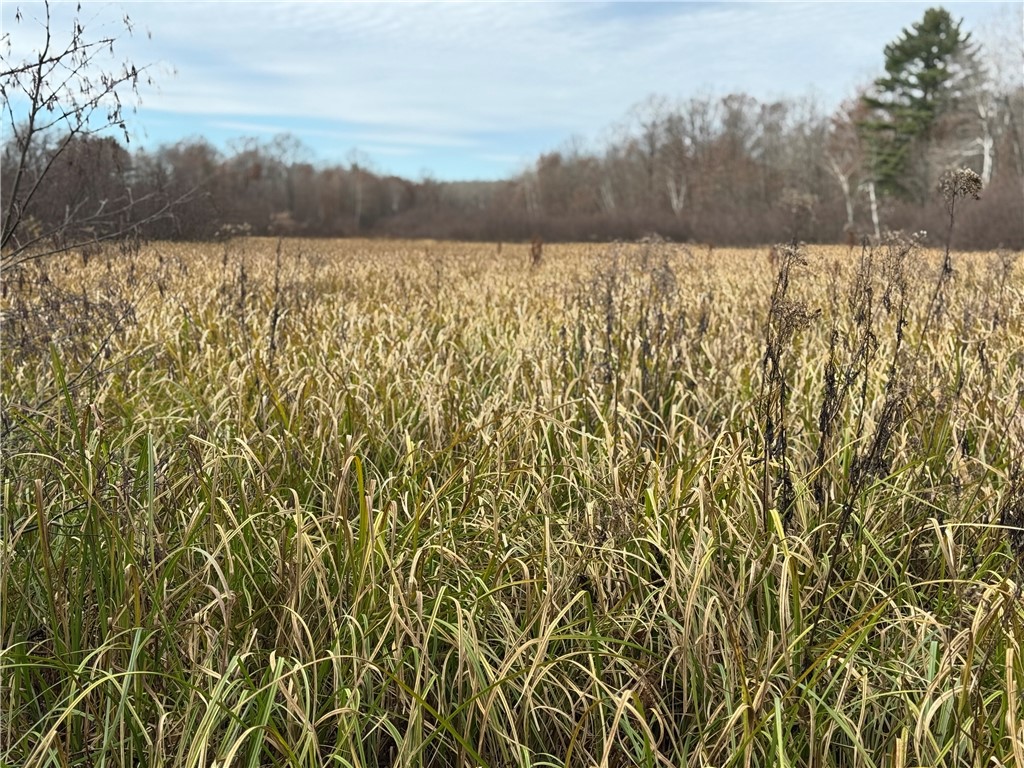 OOO County Rd. W Granton WI 54436 1596882 image30