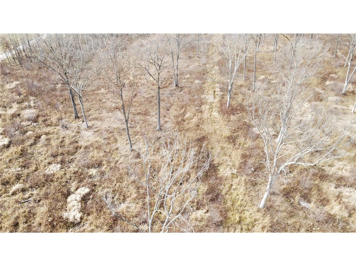 OOO County Rd. W Granton WI 54436 1596882 image31