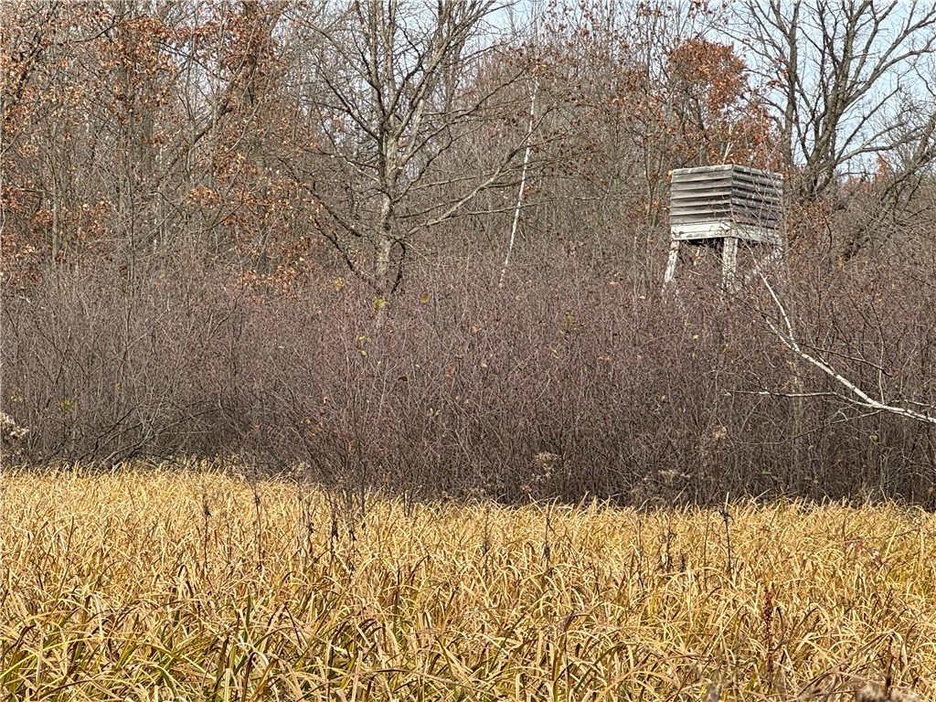 OOO County Rd. W Granton WI 54436 1596882 image32