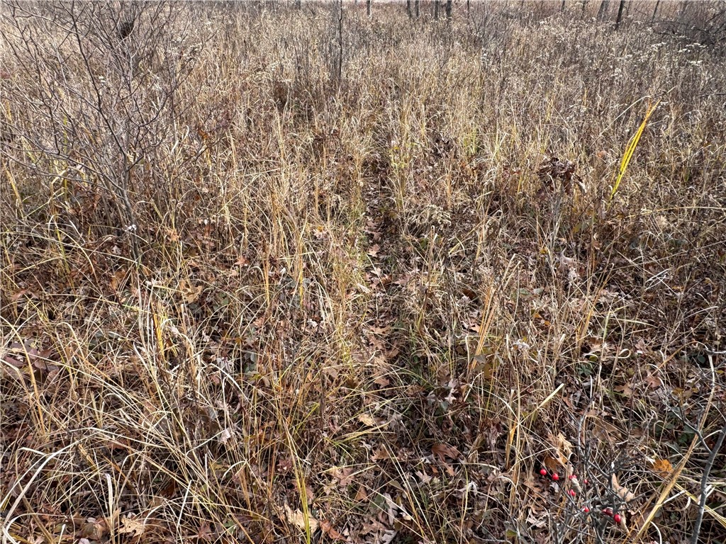 OOO County Rd. W Granton WI 54436 1596882 image34