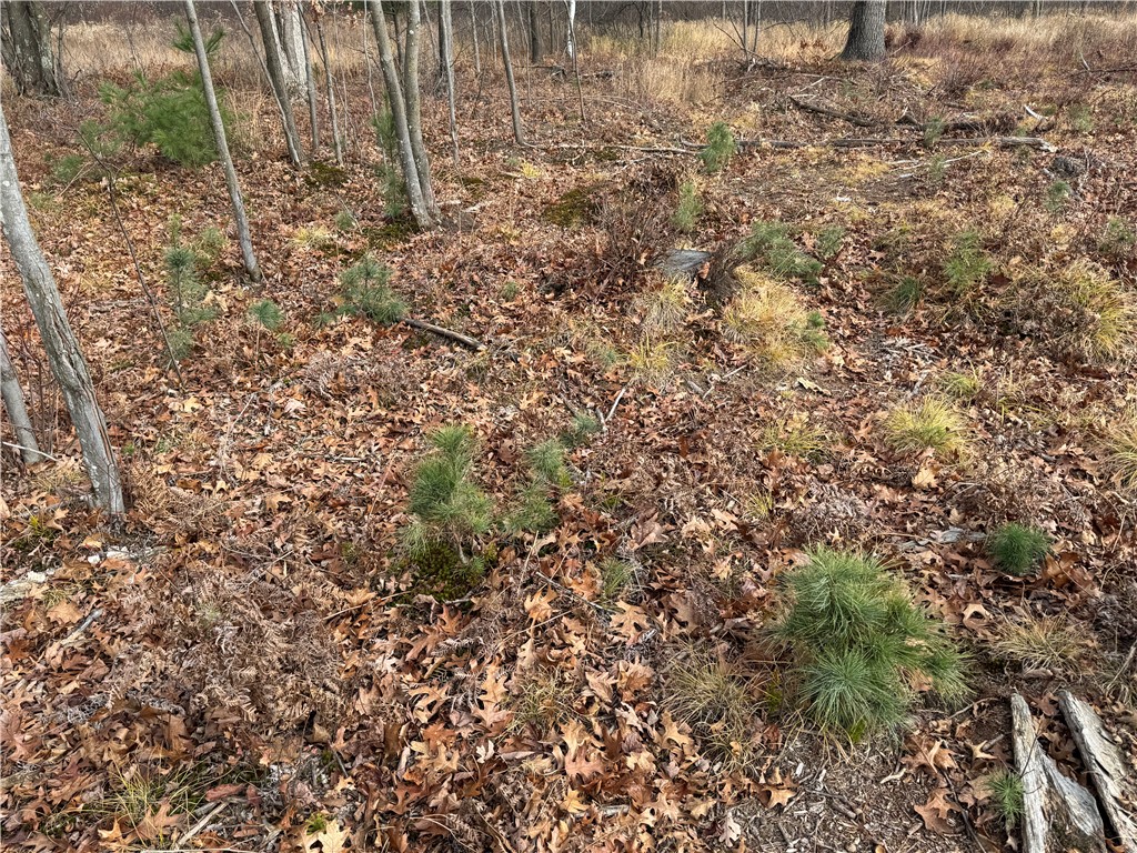 OOO County Rd. W Granton WI 54436 1596882 image35