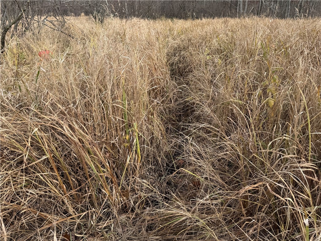 OOO County Rd. W Granton WI 54436 1596882 image36