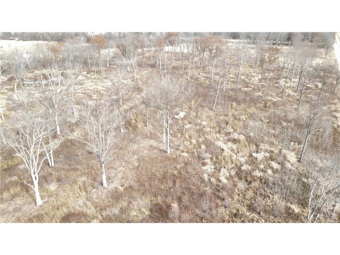 OOO County Rd. W Granton WI 54436 1596882 image37