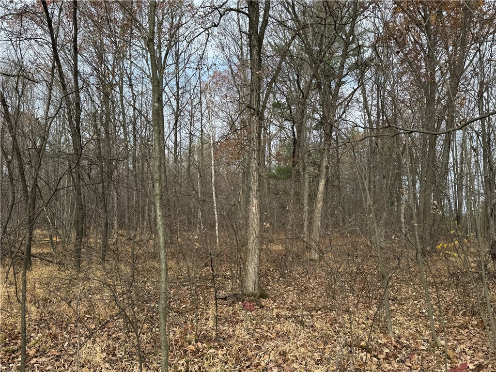 OOO County Rd. W Granton WI 54436 1596882 image38