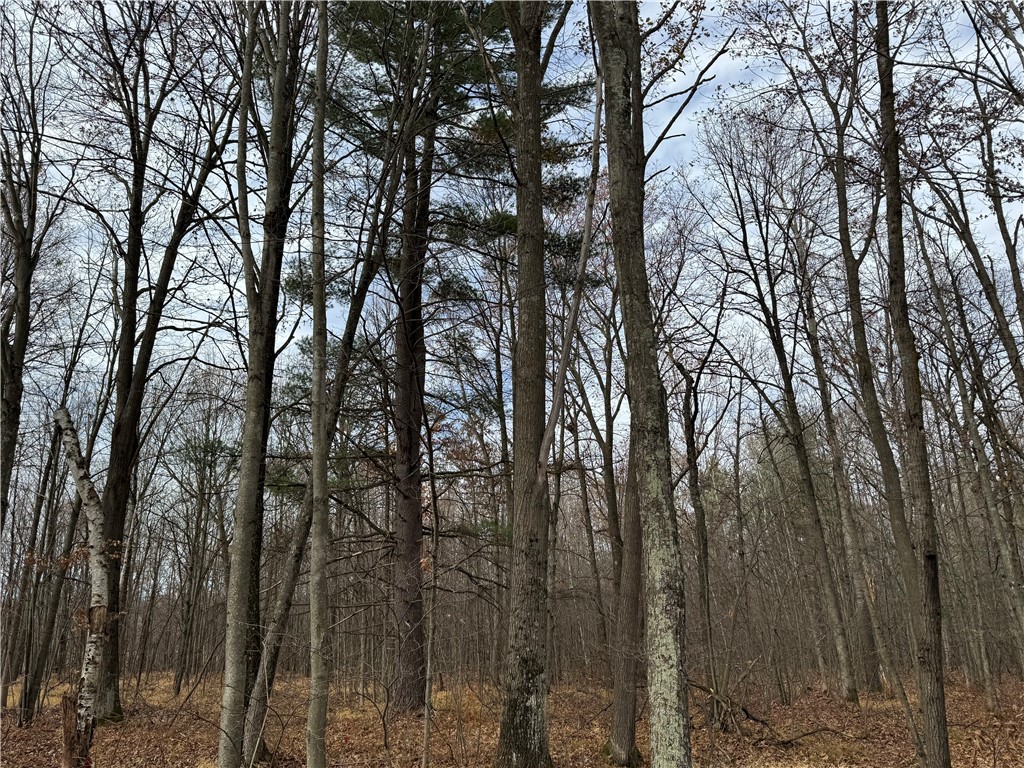 OOO County Rd. W Granton WI 54436 1596882 image39