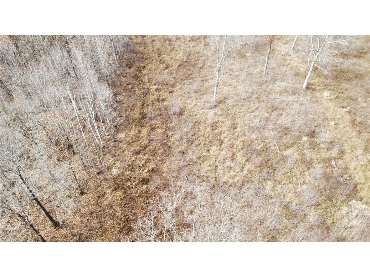 OOO County Rd. W Granton WI 54436 1596882 image40