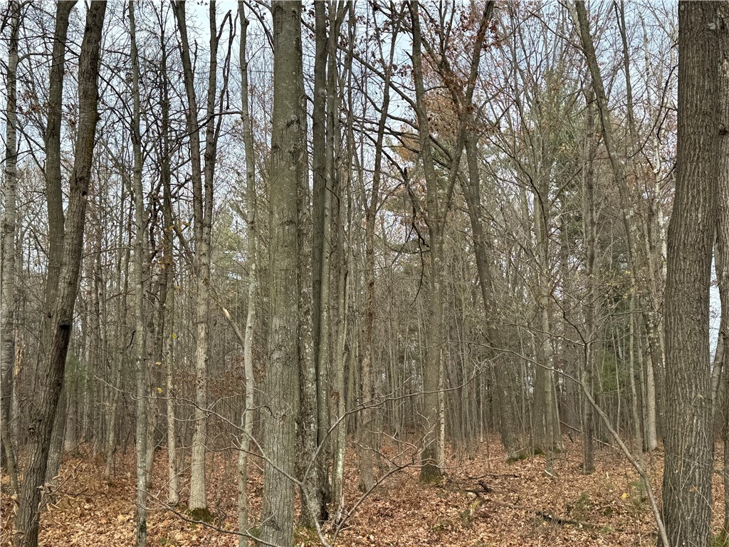 OOO County Rd. W Granton WI 54436 1596882 image41