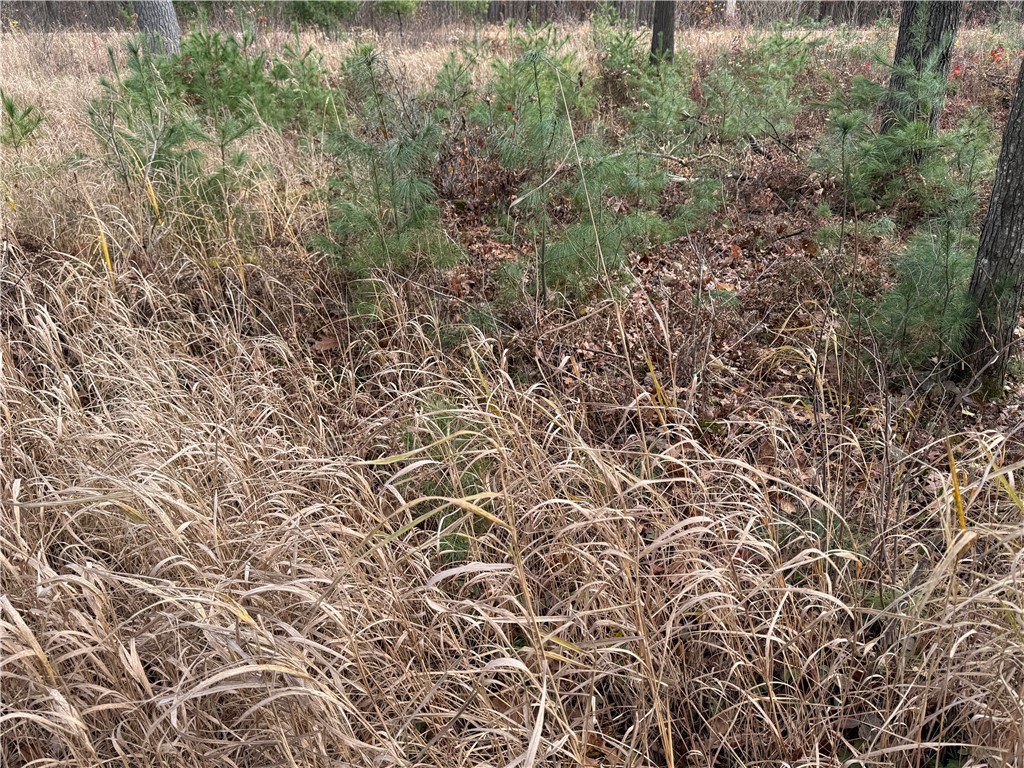 OOO County Rd. W Granton WI 54436 1596882 image42