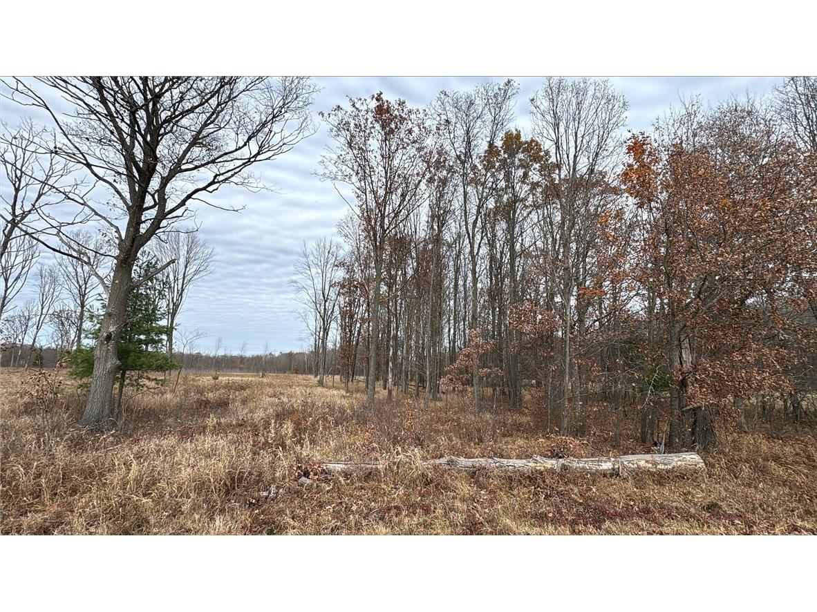 OOO County Rd. W Granton WI 54436 1596882 image43