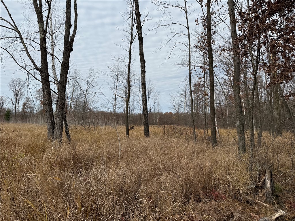 OOO County Rd. W Granton WI 54436 1596882 image5